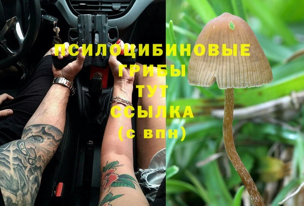 бутират Няндома