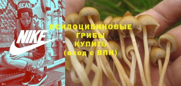 бутират Няндома