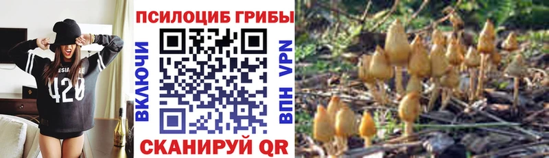 кракен ТОР  Борисоглебск  Псилоцибиновые грибы ЛСД 