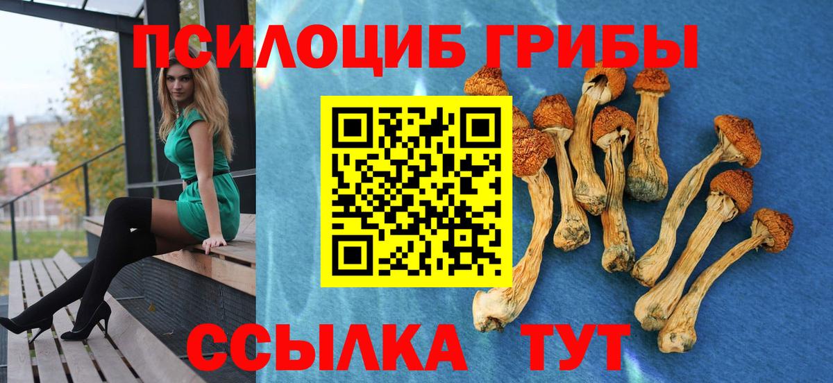 Галлюциногенные грибы Psilocybine cubensis Борисоглебск