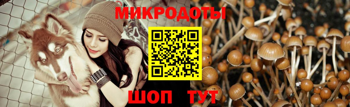 Галлюциногенные грибы мицелий  Борисоглебск  Псилоцибиновые грибы GOLDEN TEACHER 